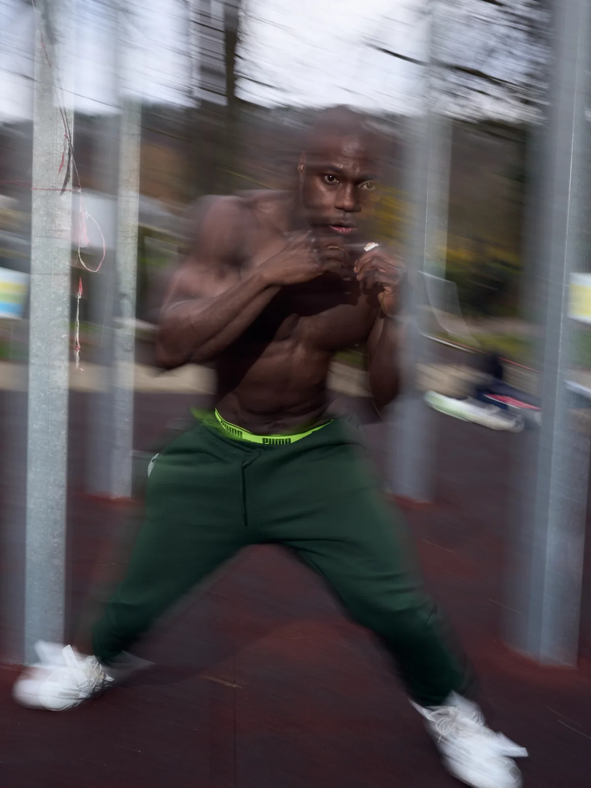 boxer training